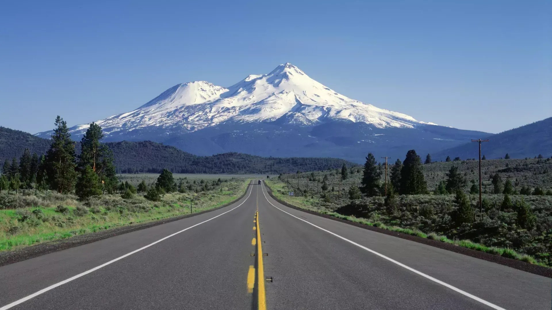 Mount Shasta 